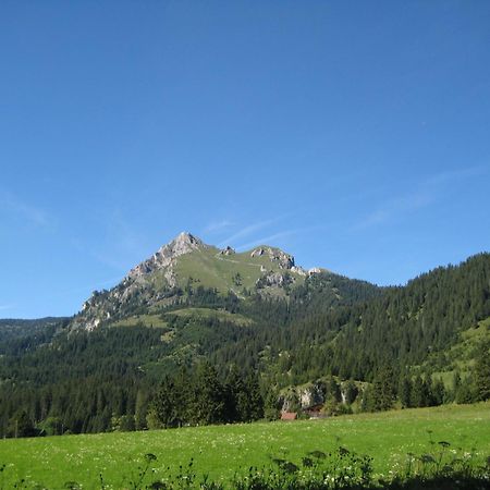 Haus Bergwelt Daire Grän Dış mekan fotoğraf