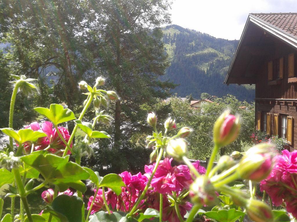 Haus Bergwelt Daire Grän Dış mekan fotoğraf