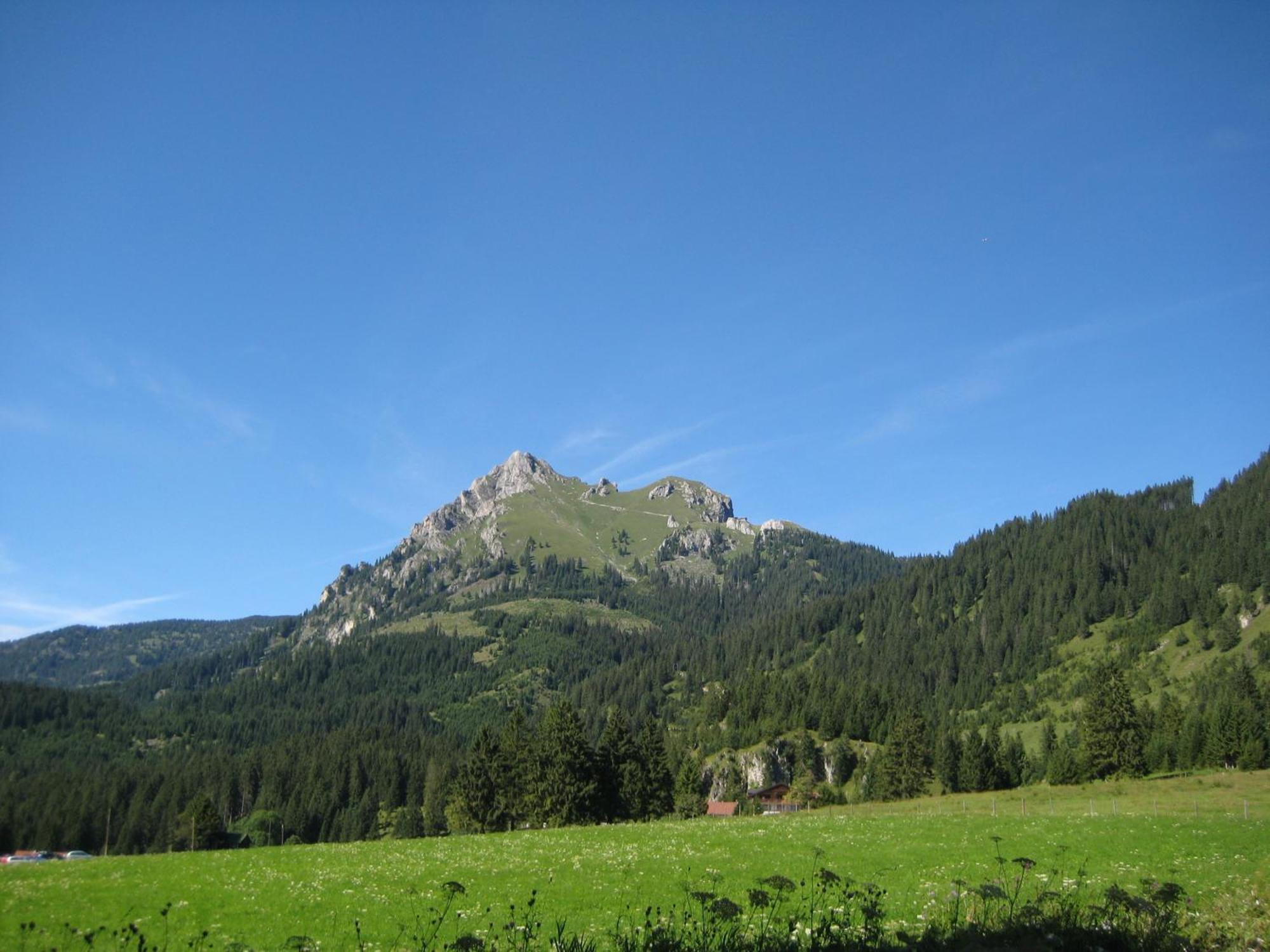 Haus Bergwelt Daire Grän Dış mekan fotoğraf