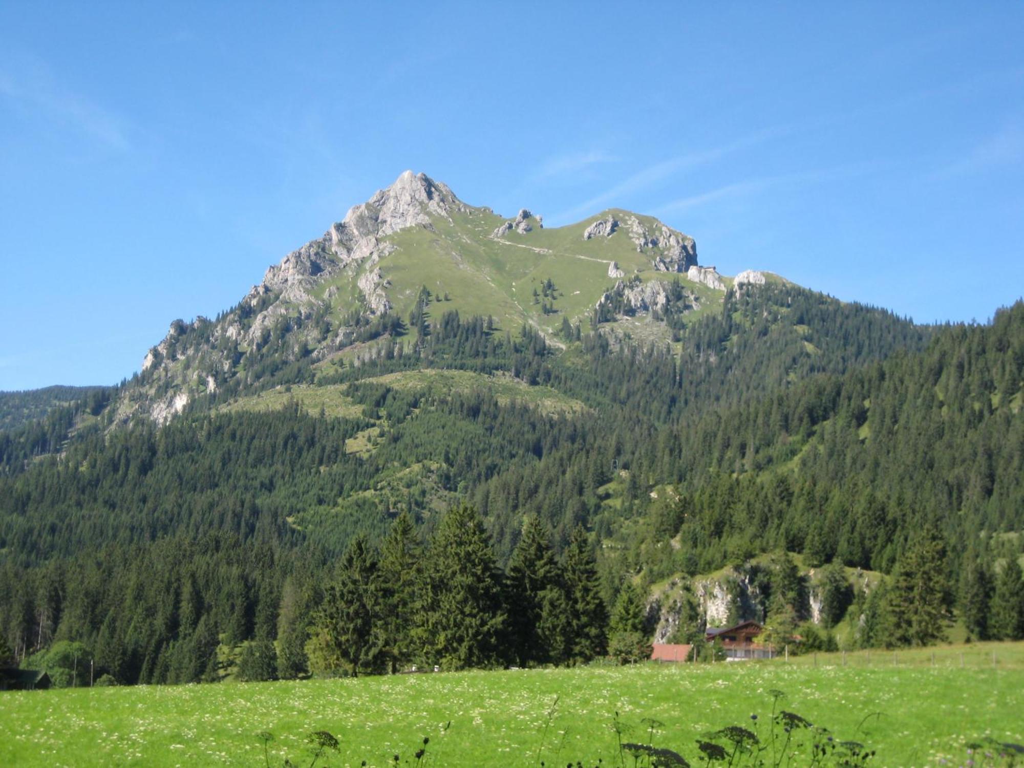 Haus Bergwelt Daire Grän Dış mekan fotoğraf
