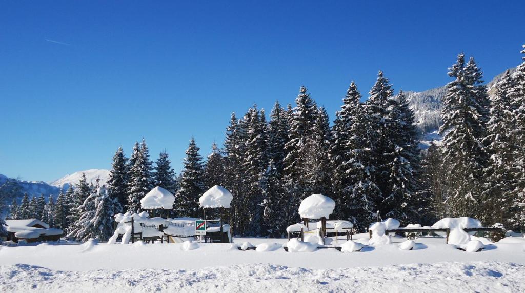 Haus Bergwelt Daire Grän Dış mekan fotoğraf
